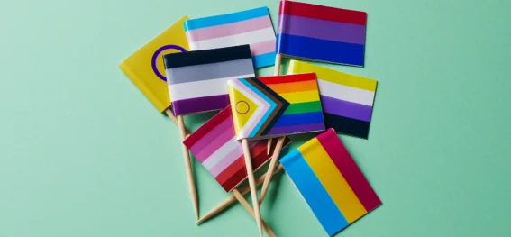 LGBT Flaggen