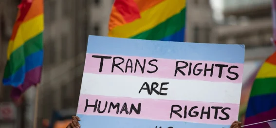 Transgender Advocacy: Herausforderungen und Fortschritte